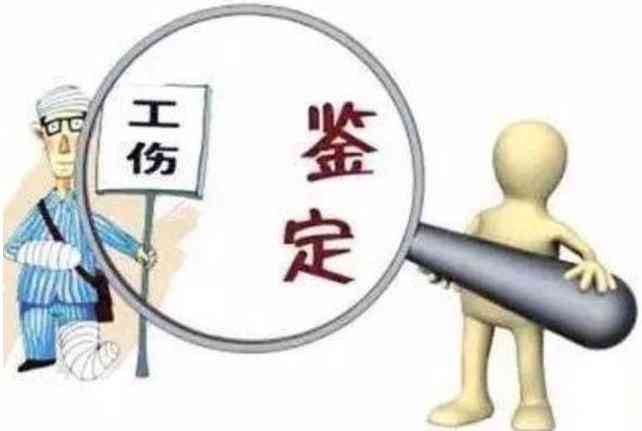 认定工伤是什么生肖