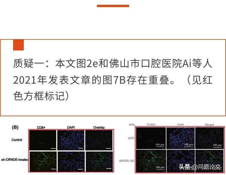 ai写作的查重率怎么样