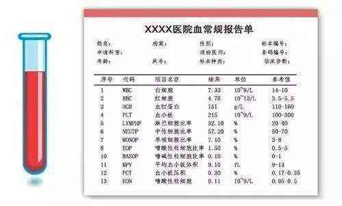 血液检测报告ai解读