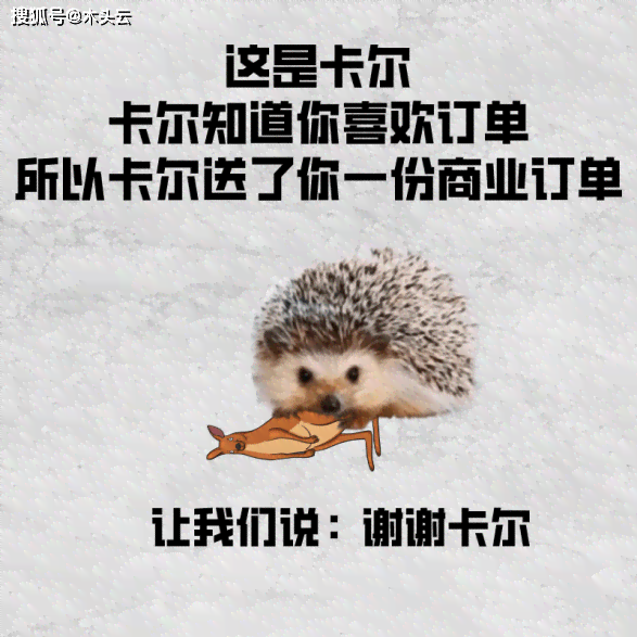 大懒ai小顽皮文案