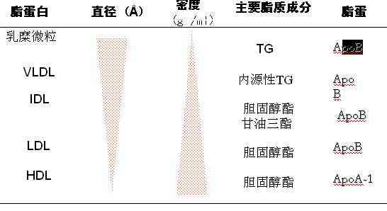 血检验报告中血清脂蛋白ai