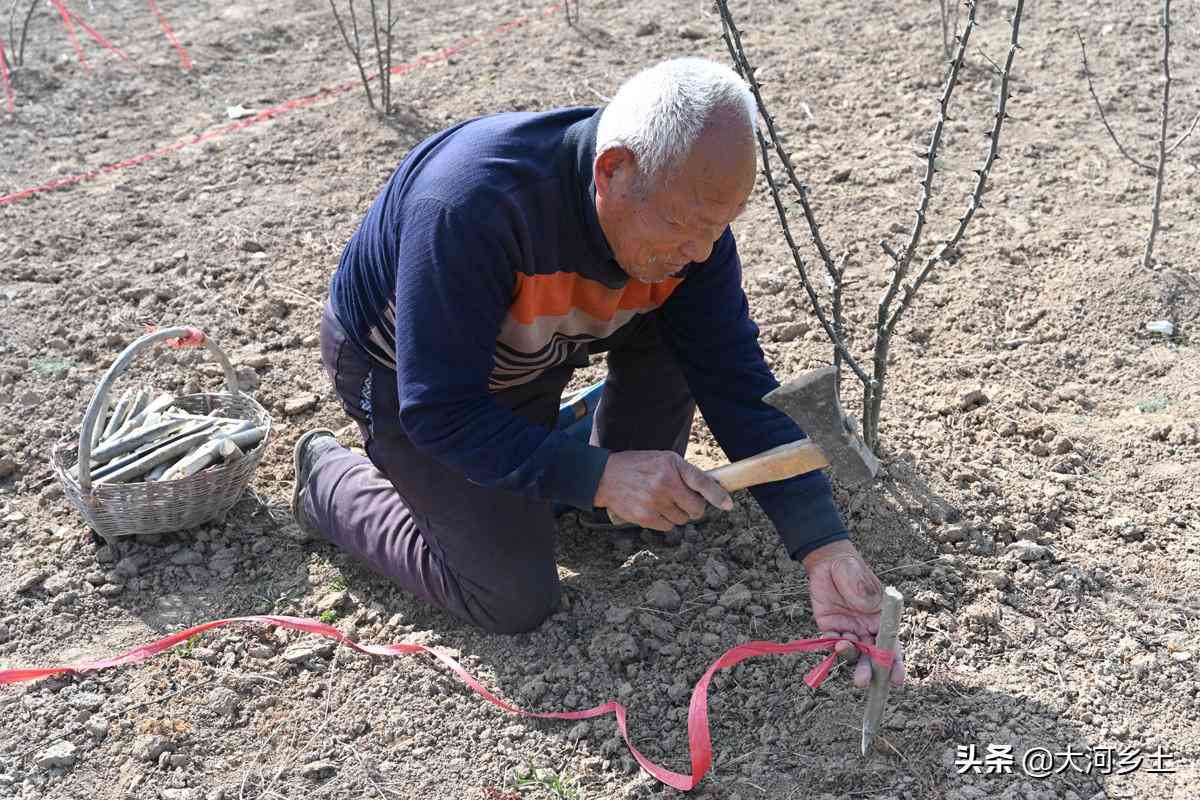 退休后能认定工伤么吗