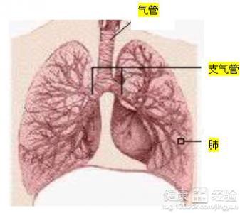 间质性可以认定工伤