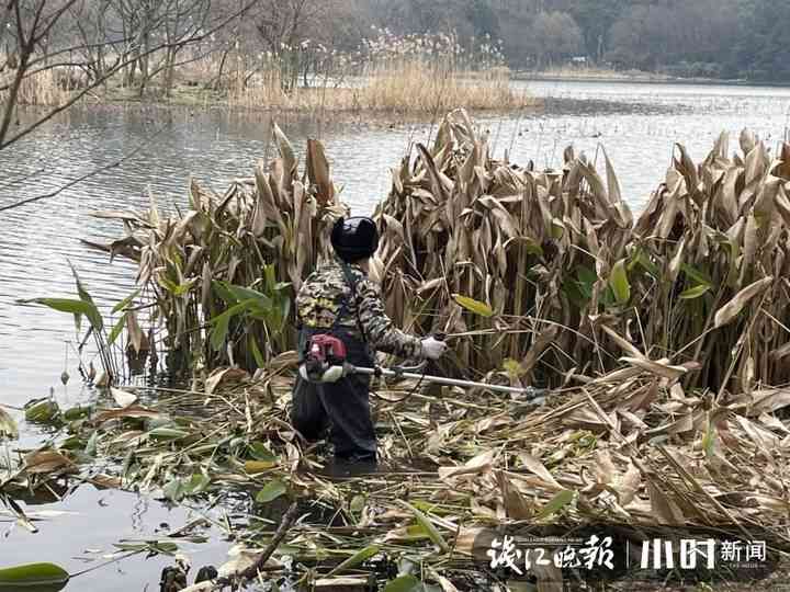 杭州水质检测ai实验报告