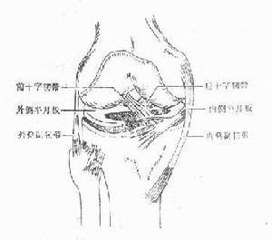 韧带损伤能认定工伤