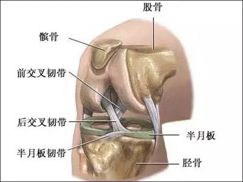 骶髂关节扭伤能认定工伤吗