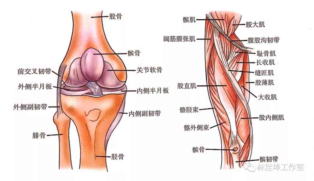 髌骨软骨损伤能认定工伤吗