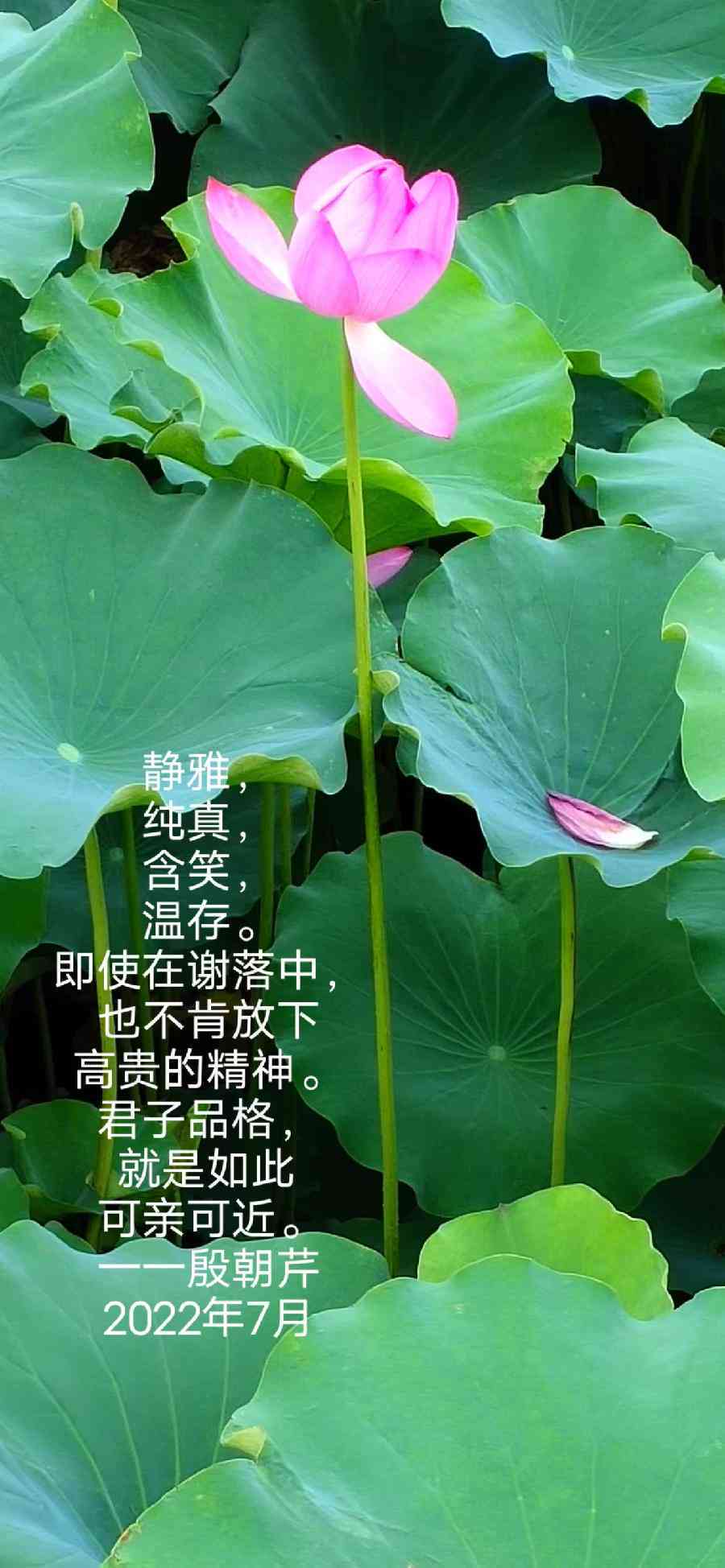 莲花ai生成的文案怎么做