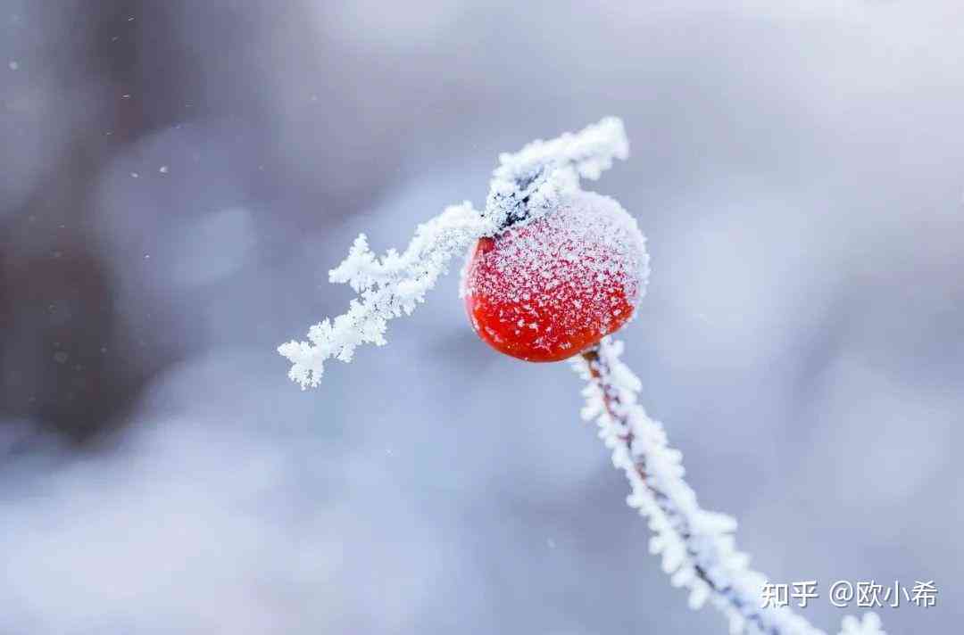 抖音ai初雪文案怎么写