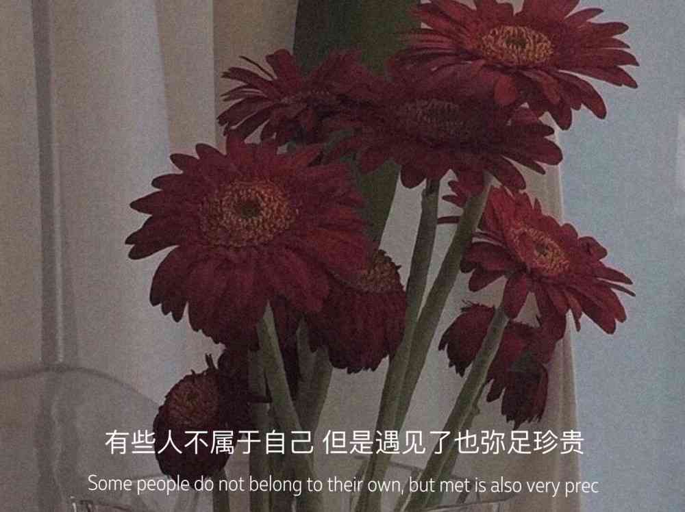 ai绘画花爆款文案壁纸