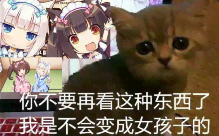 猫猫ai生成动画文案怎么写