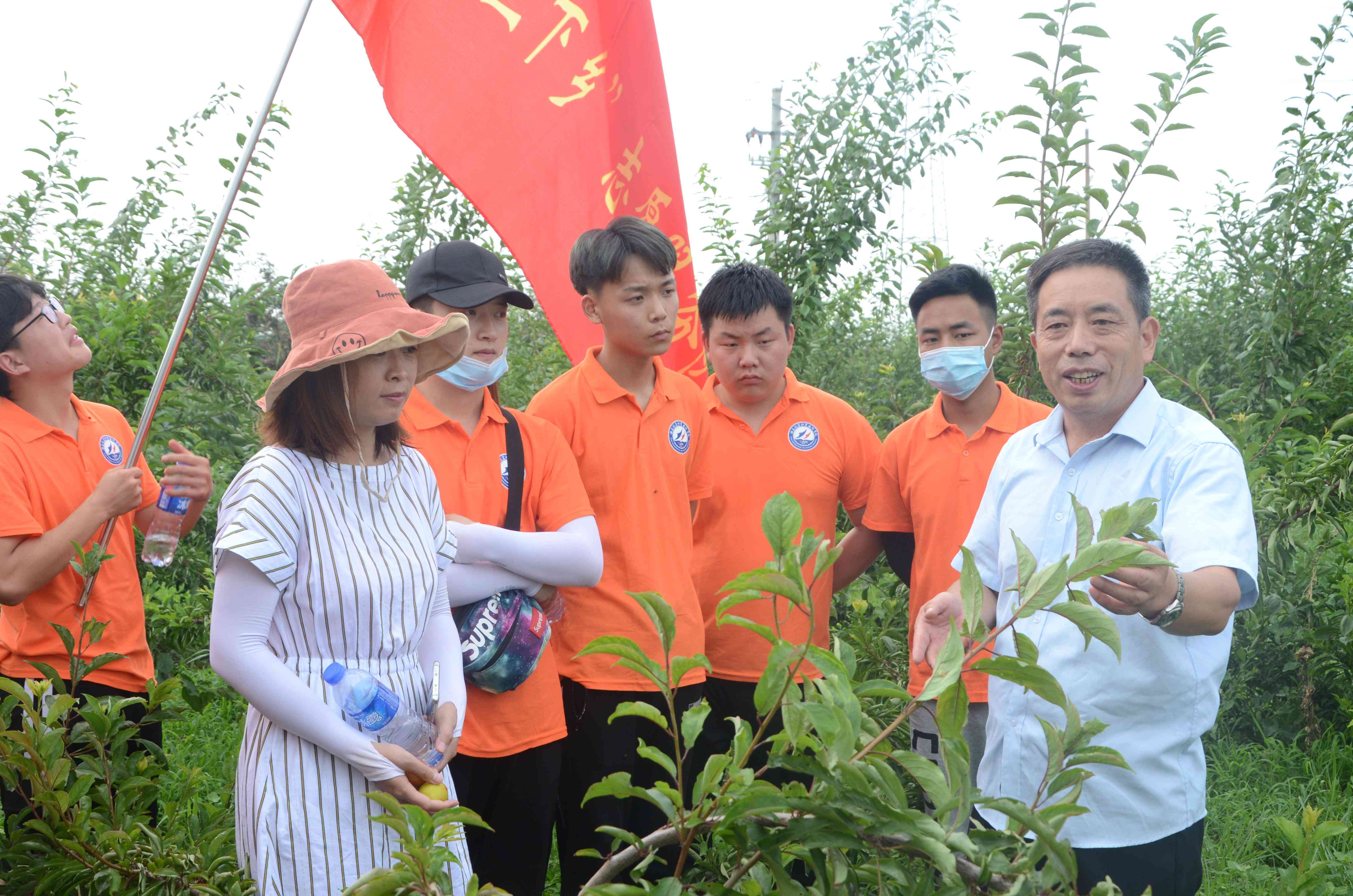 ai作业实践报告总结范文