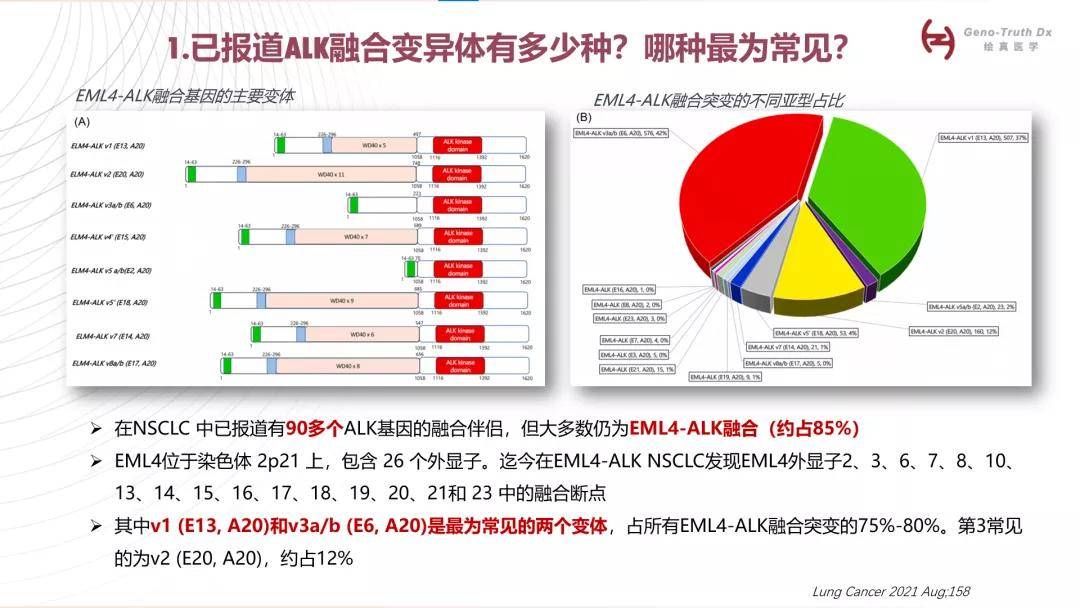 Ai139报告基因