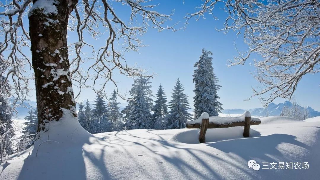 ai雪景壁纸文案