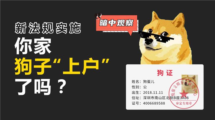 宠物ai变成人用什么文案