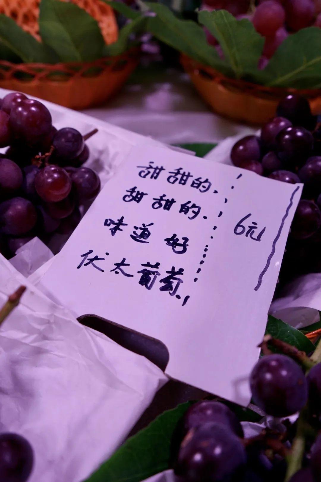 ai练字文案