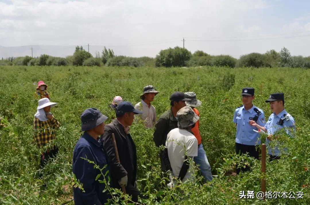 格尔木农民工工伤赔偿标准