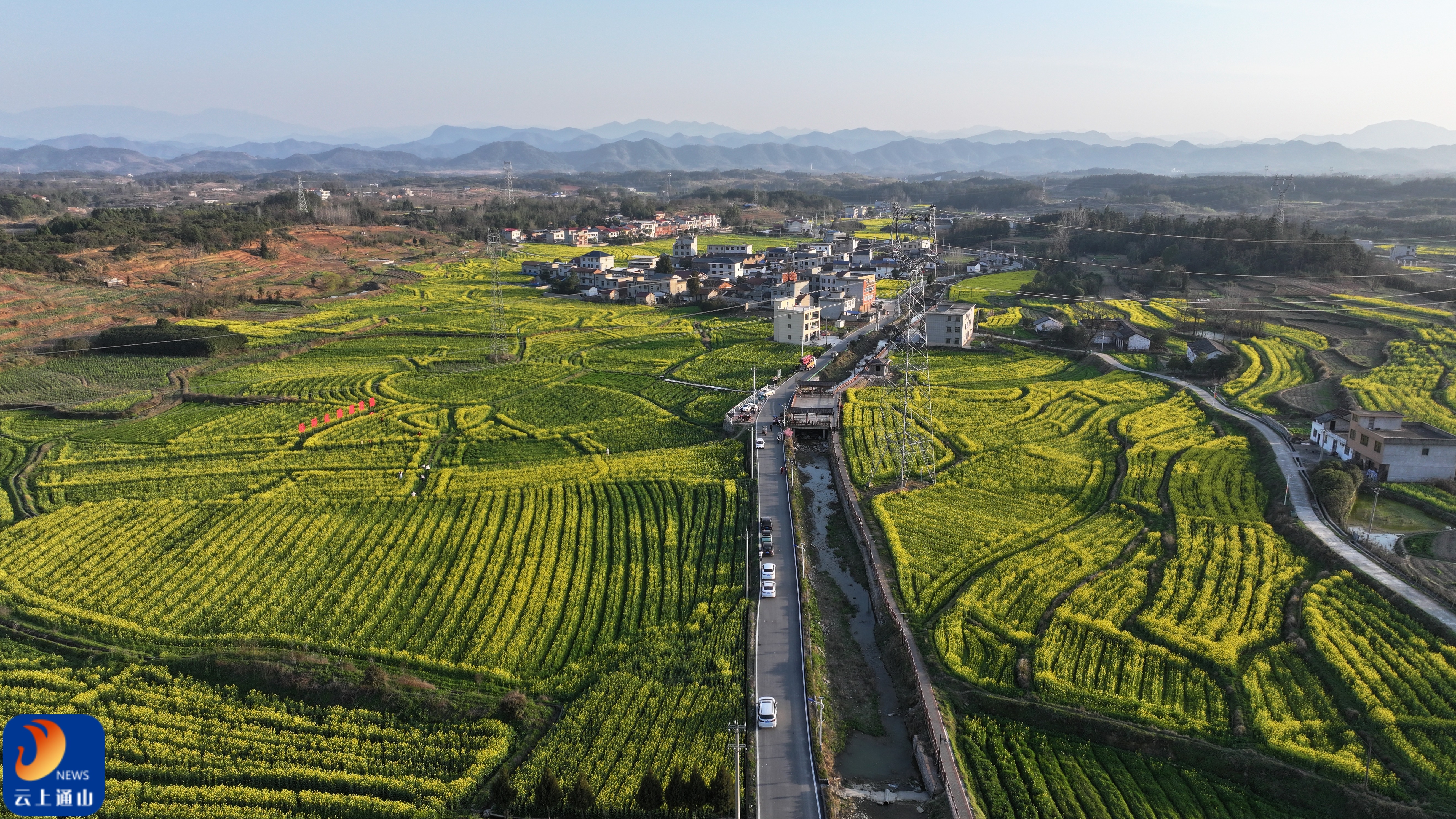 【通山美景㊲】油菜花开金满地 “三区”并进看通山